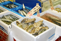 魚・牡蠣